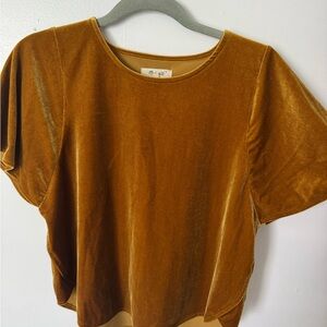 Madewell Velvet-Like Top